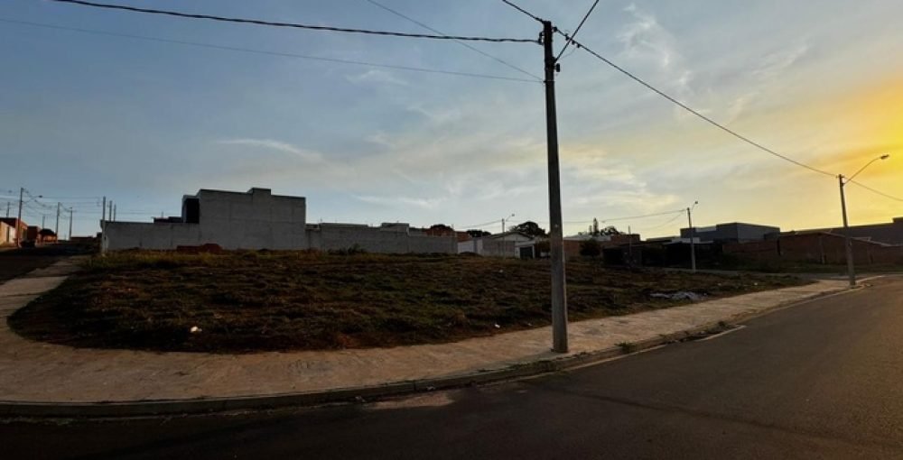 Lote 1 - 26