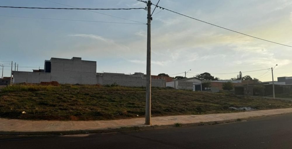 Lote 1-26